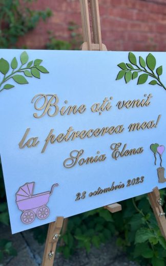 Panou intrare botez – model 2