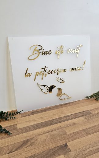 Panou intrare botez plexiglas satinat – model 1