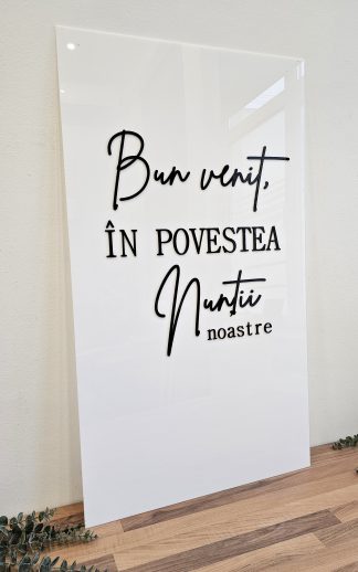 Panou intrare plexiglas si oglinda acrilica