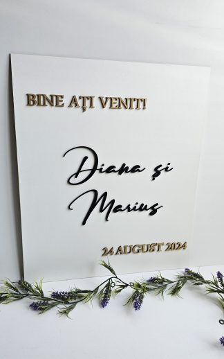 Panou intrare lemn – model 12